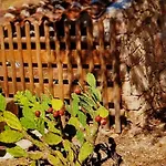 Smeralda Vendégház Olbia